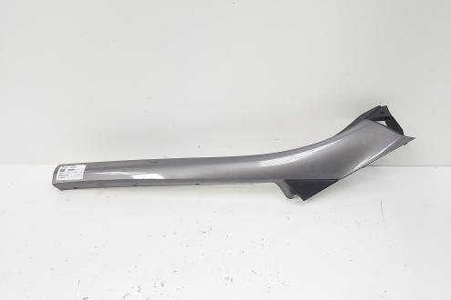 Ornament parbriz dreapta, cod 768340002R, Renault Scenic 3 (id:668904)