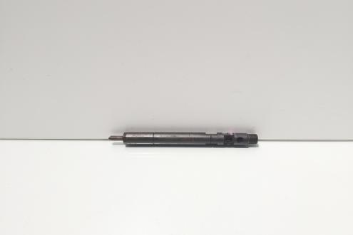 Injector Delphi, cod A6460700987, Mercedes Clasa E (W211), 2.2 CDI, OM646821 (id:671958)