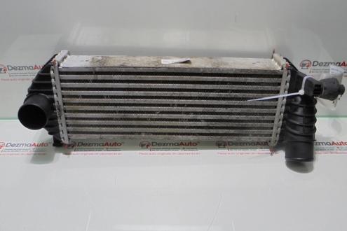Radiator intercooler 8200427469, Renault Kangoo 1.5dci (id:288770)