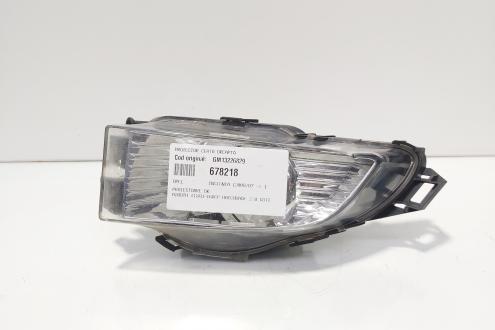 Proiector ceata dreapta, cod GM13226829, Opel Insignia A (id:678218)