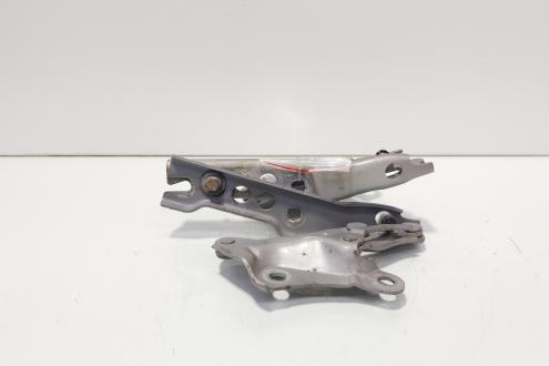 Set balamale capota fata, Skoda Superb II (3T4) (id:678711)