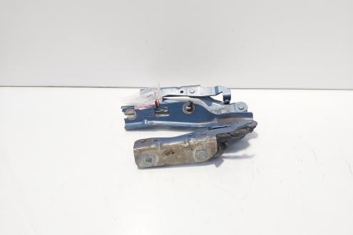 Set balamale capota fata, VW Eos (1F7, 1F8) (id:679070)