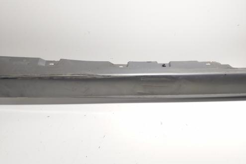 Ornament prag stanga, cod 7184773, Bmw 5 Touring (F11) (id:678745)