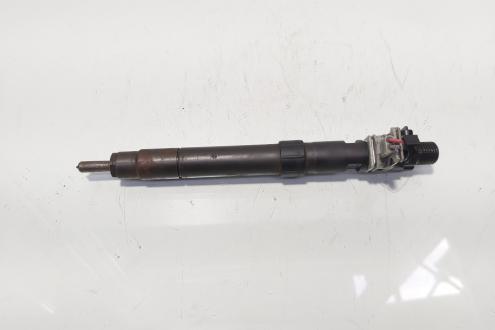 Injector, cod 9686191080, EMBR00101D, Ford Galaxy 2 2.0 TDI, UFWA (id:685050)