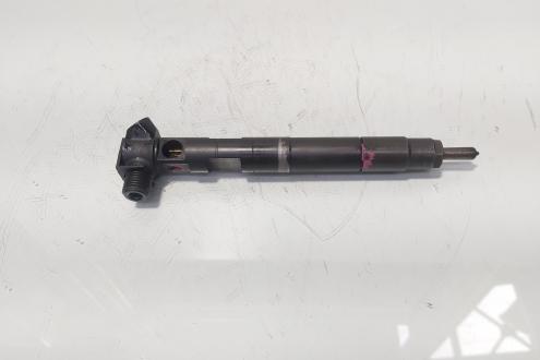 Injector Delphi, cod A6510704987, Mercedes Clasa E (W212) 2.2 CDI, OM651924 (id:474130)