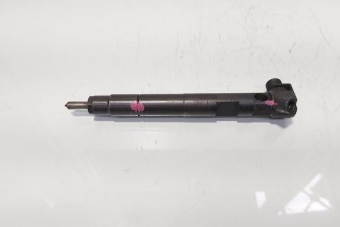 Injector Delphi, cod A6510704987, Mercedes CLS (C218), 2.2 CDI, OM651924 (idi:683925)
