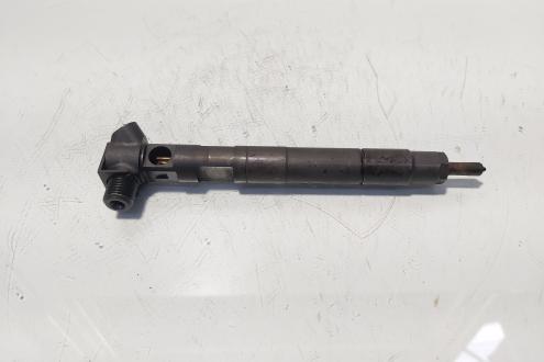 Injector Delphi, cod A6510702887, Mercedes Clasa E (W212) 2.2 CDI, OM651924 (id:685092)
