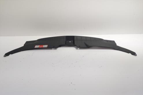 Capac panou frontal, cod 8R0807081, Audi Q5 (8RB) (id:688977)
