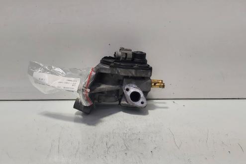 Egr, VW Jetta 3 (1K2), 2.0 FSI, BVY (idi:690493)