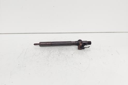 Injector Delphi, cod A6510700587, Mercedes Clasa E (W212), 2.2 CDI, OM651924 (id:689247)
