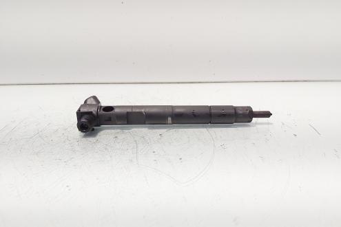 Injector Delphi, cod A6510702887, Mercedes Clasa E (W212) 2.2 CDI, OM651924 (id:689778)