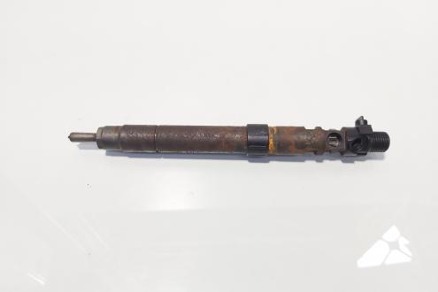 Injector, cod 9686191080, EMBR00101D, Ford Galaxy 2 2.0 TDCI, UFWA (id:693156)
