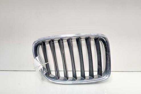 Grila bara fata centrala dreapta sus, Bmw X1 (E84) (id:695774)