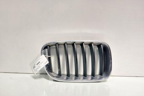 Grila bara fata centrala dreapta sus, Bmw X3 (F25) (id:695800)
