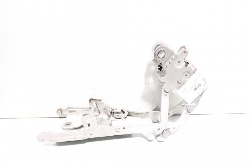 Set balamale capota fata, Bmw 1 (F20, F21) (id:695986)