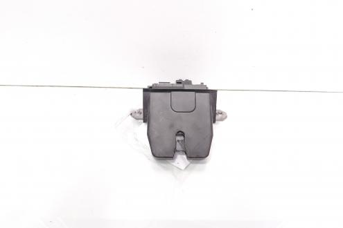 Broasca haion, Ford Focus 3 Turnier (id:696298)