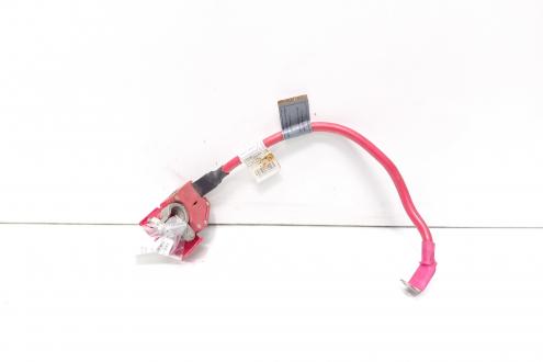 Borna baterie (+) cu capsa, cod 9259425-02, Bmw 3 (F30) (id:696388)
