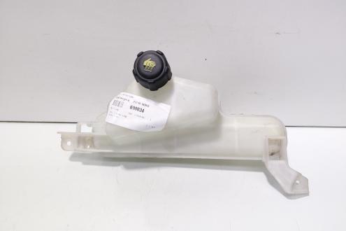 Vas expansiune, cod 21710-1KB0A, Nissan Juke (id:698034)