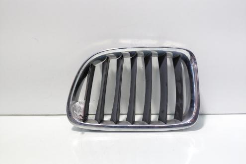 Grila bara fata centrala sus stanga, Bmw 3 (E46) (id:698516)
