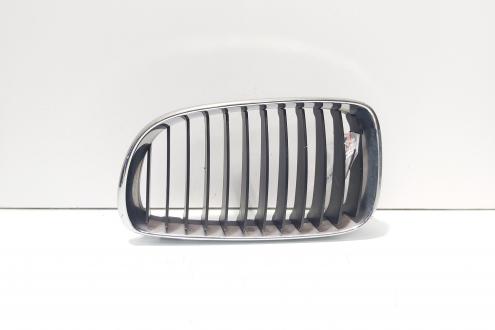 Grila bara fata centrala stanga sus, Bmw 1 (E81, E87) facelift (id:699371)