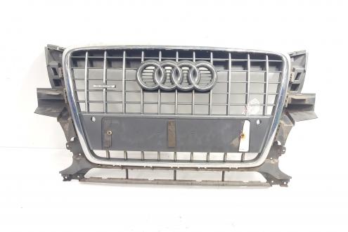 Grila bara fata centrala cu sigla cu loc de senzori, cod 8R0853651B, Audi Q5 (8RB) (id:699868)