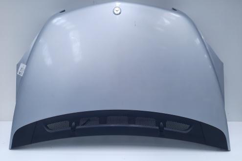 Grila capota, Mercedes Clasa B (W245)