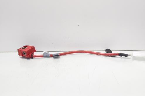 Borna baterie plus cu capsa, cod 9217035-01, Bmw 5 Gran Turismo (GT) (id:701172)