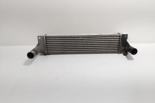 Radiator intercooler, Land Rover Freelander (LN) 2.0 diesel, 204D3 (id:701458)