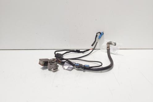 Borna baterie minus cu capsa, cod 6970680, Bmw 5 (E60) (id:702811)