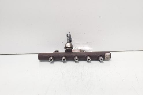 Rampa injectoare cu senzor, cod 8200669694, Renault Clio 3, 1.5 DCI, K9K770 (id:703187)
