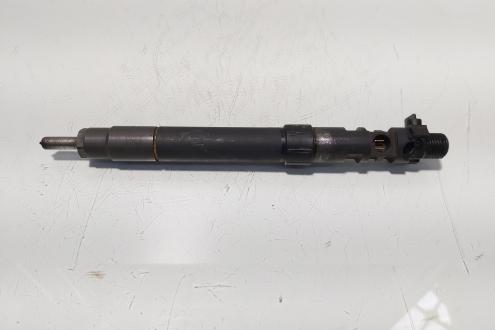 Injector, cod 9686191080, EMBR00101D, Ford Galaxy 2, 2.0 TDCI, UFWA (id:700551)