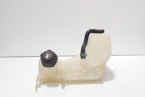 Vas expansiune, cod 217100014R, Renault Laguna 3 2.0 DCI, M9R802 (id:705000)
