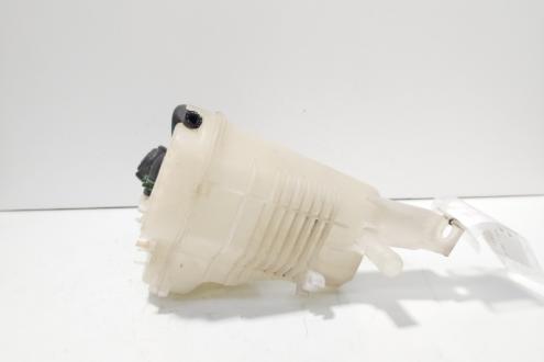 Vas expansiune, cod 217100014R, Renault Laguna 3 2.0 DCI, M9R802 (id:705000)