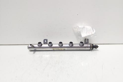 Rampa injectoare cu senzor, cod 175216420R, Renault Grand Scenic 2 1.6 DCI, R9M402 (id:705212)