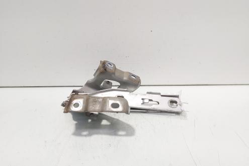 Set balamale capota fata, Audi A5 Sportback (8TA) (id:706158)