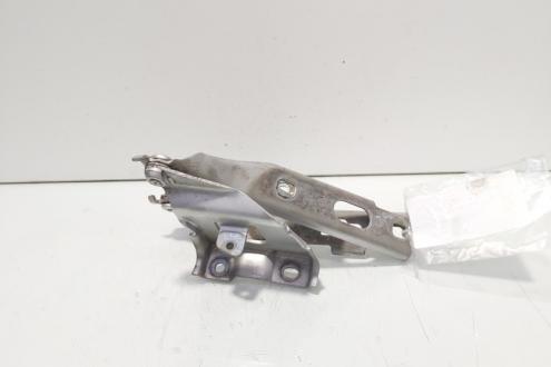 Set balamale capota fata, Audi A5 Sportback (8TA) (id:706158)