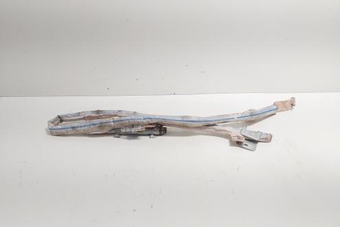 Airbag cortina stanga, cod 5JA880741D, Skoda Rapid (NH3) (id:706401)