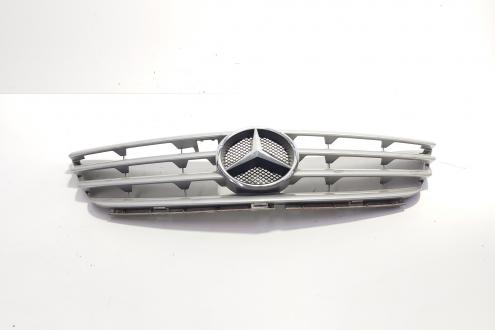 Grila bara fata centrala cu sigla, cod 1698800183, Mercedes Clasa B (W245) (id:707047)