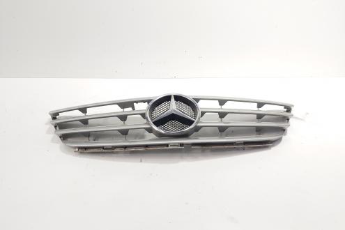 Grila bara fata centrala cu sigla, cod 1698800183, Mercedes Clasa B (W245) (id:707047)