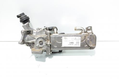 Racitor gaze, cod A6511400275, Mercedes Clasa E (W212) 2.2 CDI, OM651924 (id:709817)