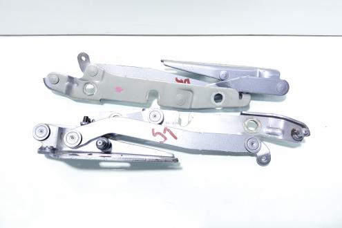 Set balamale capota spate, Audi A4 (8EC, B7) (id:141148)