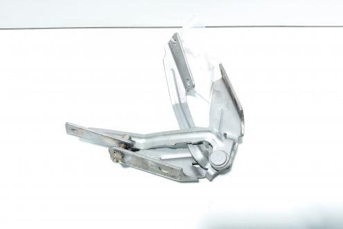 Set balamale capota fata, Ford Focus 1 Combi (id:532654)