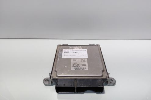 Calculator motor Ecu, cod A6519007500, A0064461540, Mercedes Clasa E (W212), 2.2 CDI, OM651925 (id:712312)