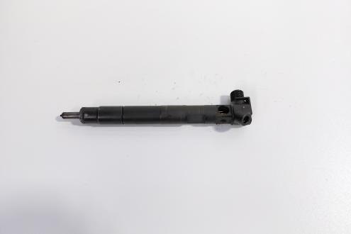 Injector Delphi, cod A6510702887, Mercedes Clasa E (W212) 2.2 CDI, OM651924 (id:711749)