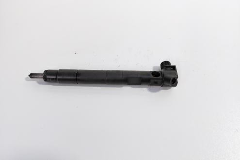 Injector Delphi, cod A510702887, Mercedes Clasa E (W212) 2.2 CDI, OM651924 (id:711748)