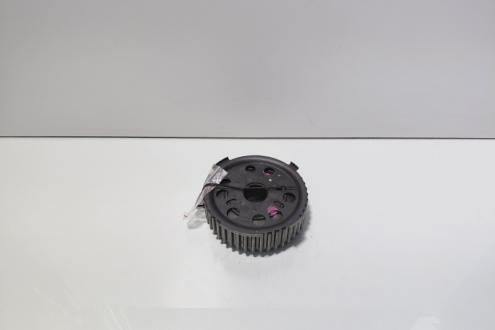 Fulie ax came, Vw Golf 5 (1K1) 1.9 TDI, BXE (id:700437)