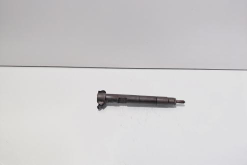 Injector Delphi, cod A6510700587, Mercedes Clasa E (W212) 2.2 CDI, OM651924 (id:712882)