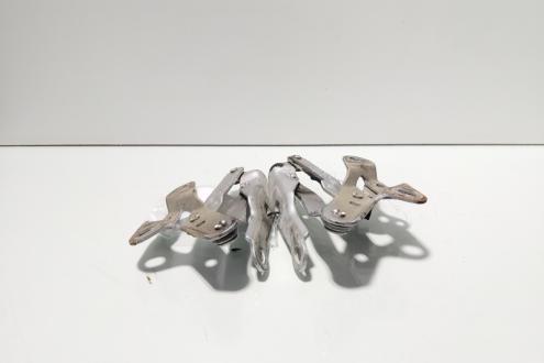 Set balamale capota fata, cod 7M3803301A, Vw Sharan (7M8, 7M9, 7M6) (id:715346)