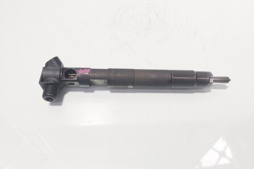 Injector Delphi, cod A6510702887, Mercedes Clasa E (W212) 2.2 CDI, OM651924 (id:714619)