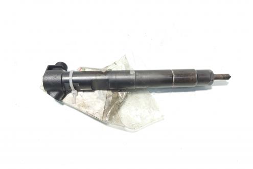 Injector Delphi, cod A6510702887, Mercedes Clasa E (W212) 2.2 CDI, OM651924 (id:585052)
